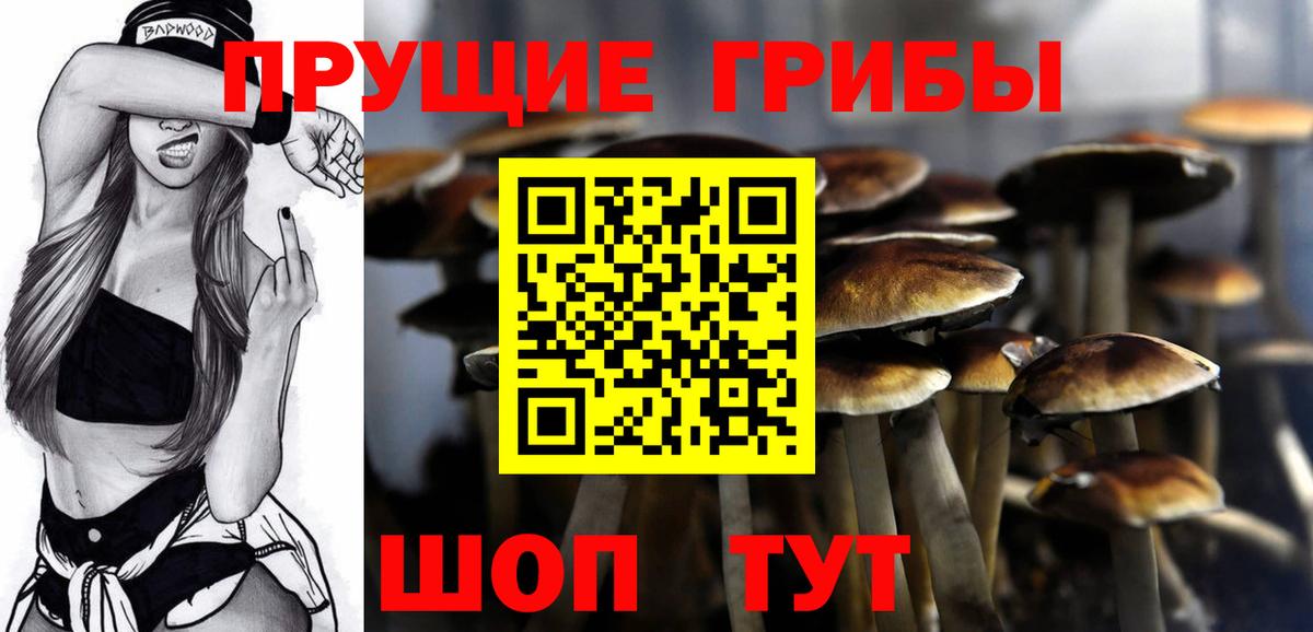Балтийск  Галлюциногенные грибы MAGIC MUSHROOMS  Вход с VPN 