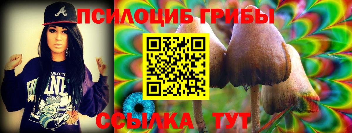 Галлюциногенные грибы мицелий Балтийск